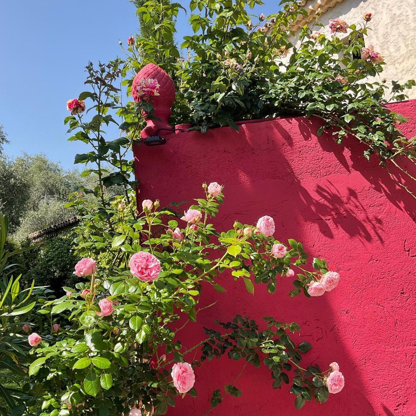 Hotel Mas De Provence En Riviera La Roquette-sur-Var Zewnętrze zdjęcie