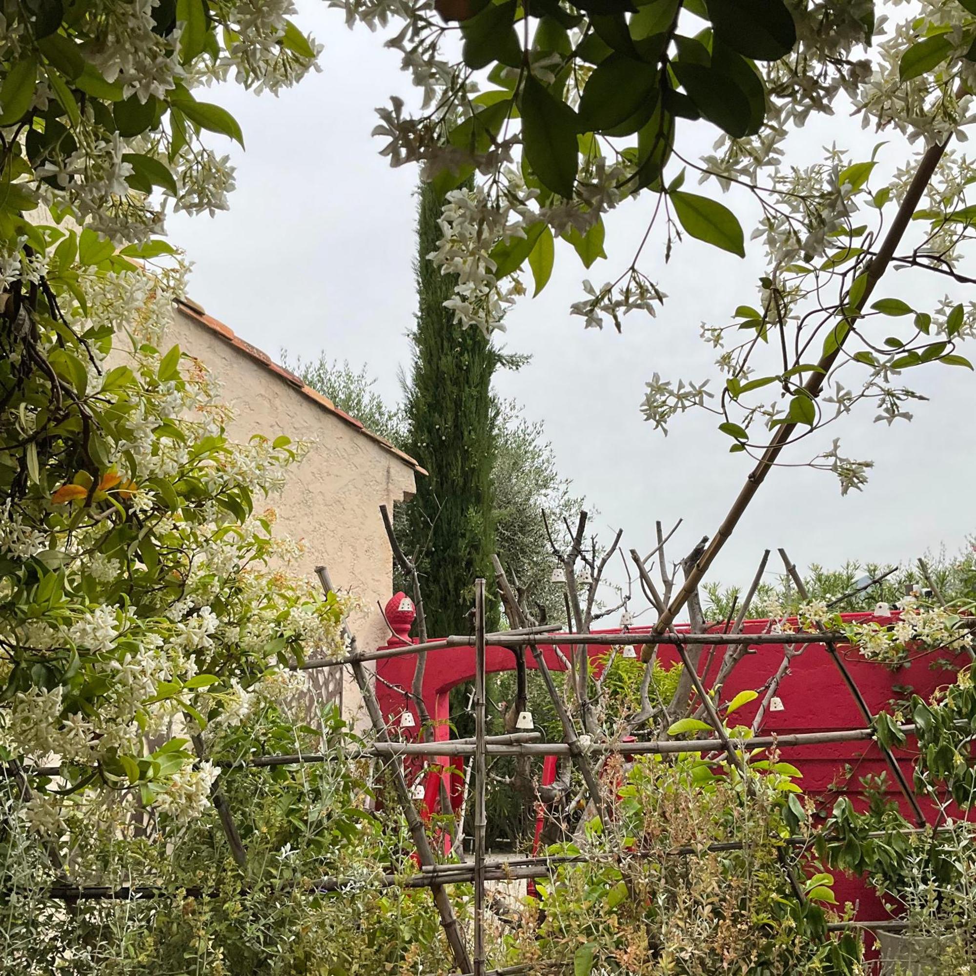 Hotel Mas De Provence En Riviera La Roquette-sur-Var Zewnętrze zdjęcie