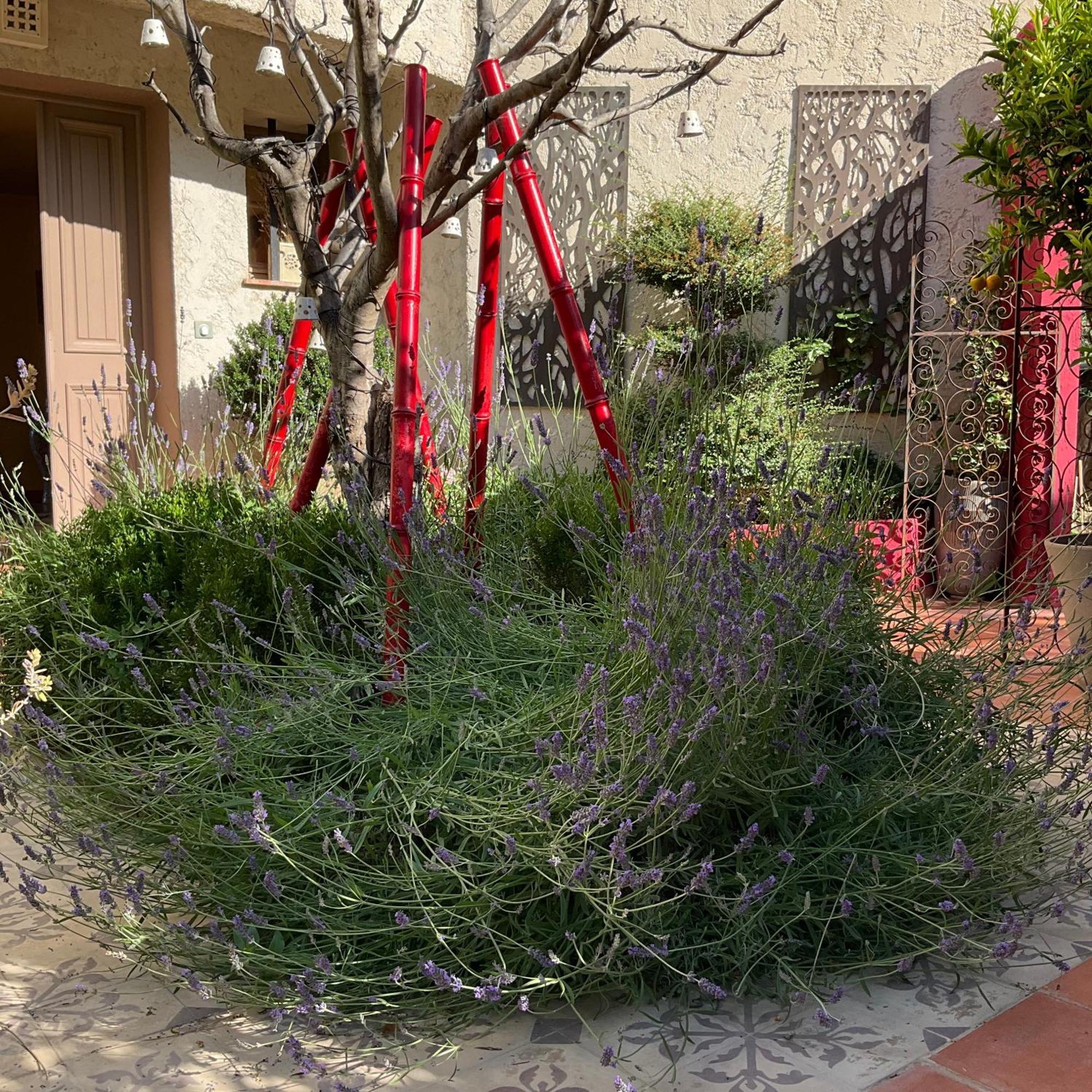 Hotel Mas De Provence En Riviera La Roquette-sur-Var Zewnętrze zdjęcie